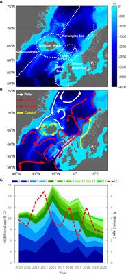 Space-time recapture dynamics of PIT-tagged Northeast Atlantic mackerel (Scomber scombrus) reveal size-dependent migratory behaviour